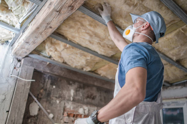 Best Home Insulation Services  in New Fairview, TX