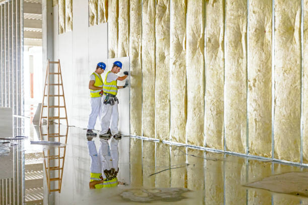 Best Soundproof Insulation Installation  in New Fairview, TX